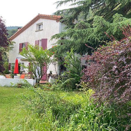 Villa Riviera Chambres Privees 아멜리에레방팔랄다 외부 사진